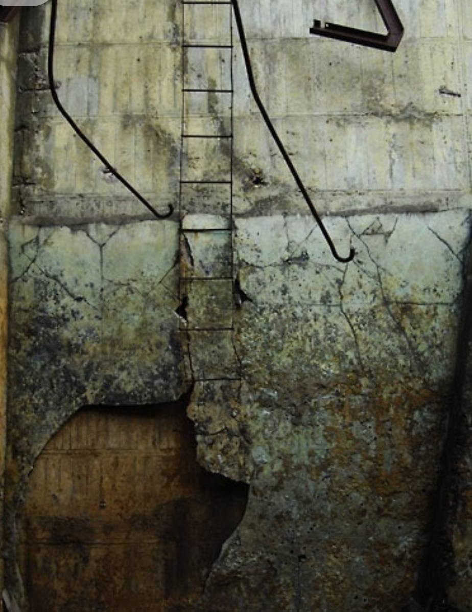 548305100 25610907278498316 6504653383166181312 n