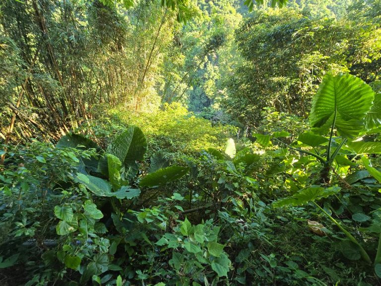 Thumbnail 2025 10 31t135432.825