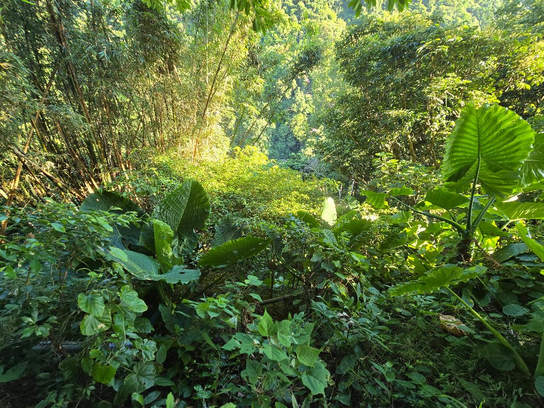 Thumbnail 2025 10 31t135432.825