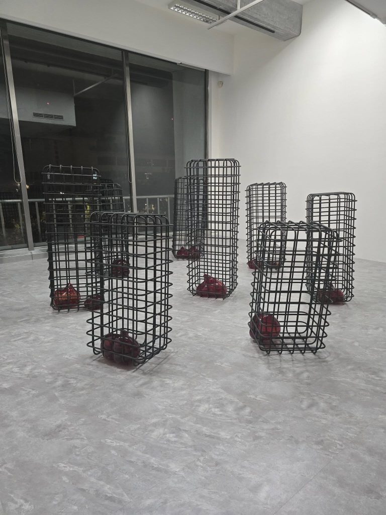 574472484 26067377619517944 2267885429109288360 n