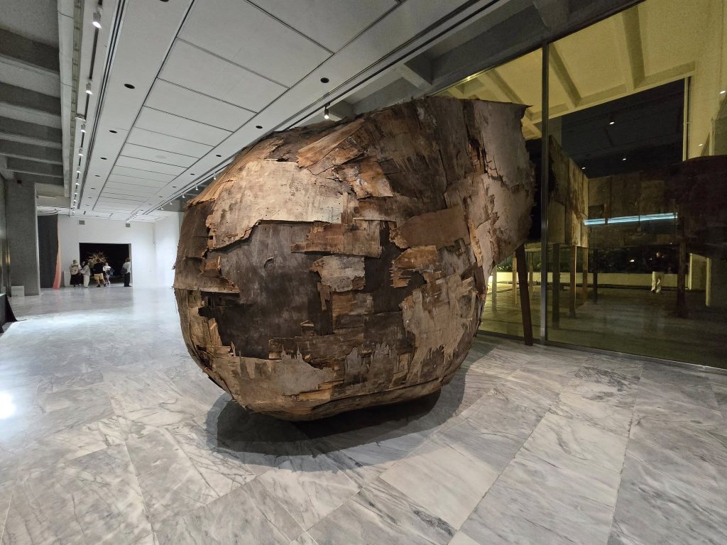 574864036 26067360019519704 1829316647007156002 n