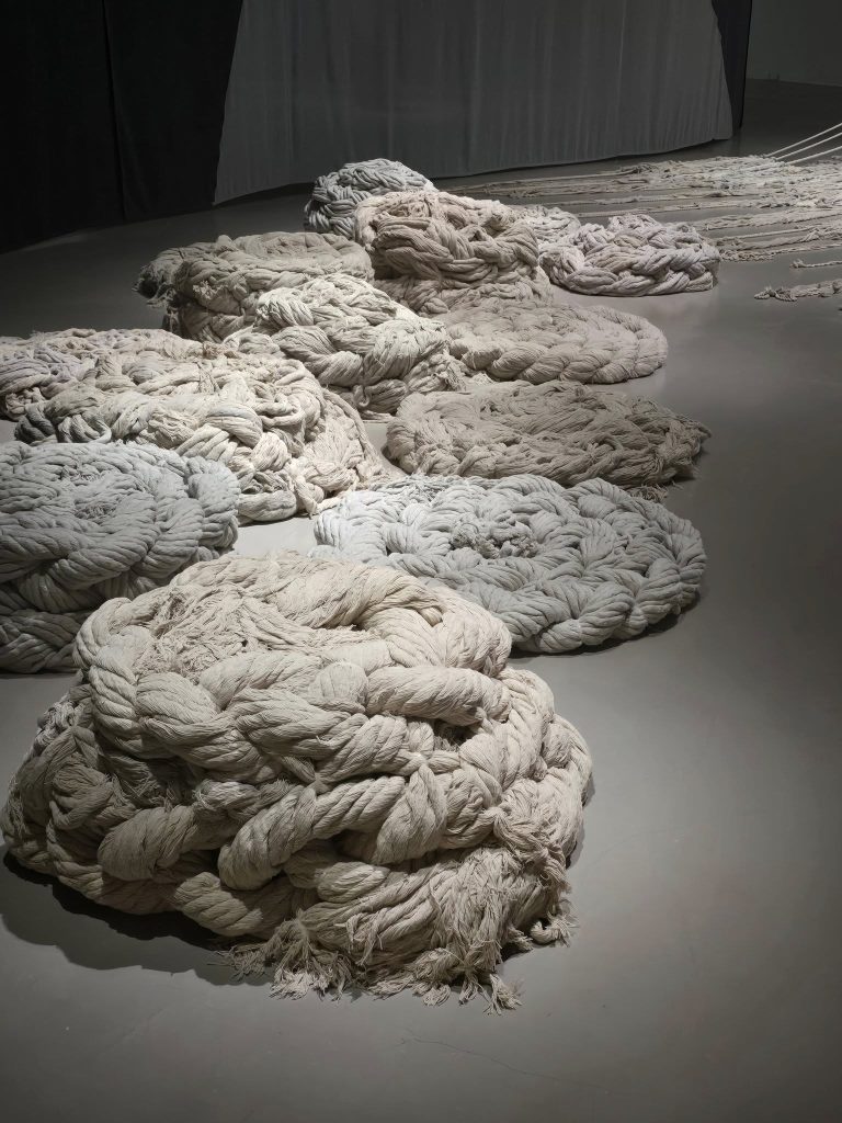 574891710 26067365329519173 7136547448752916536 n