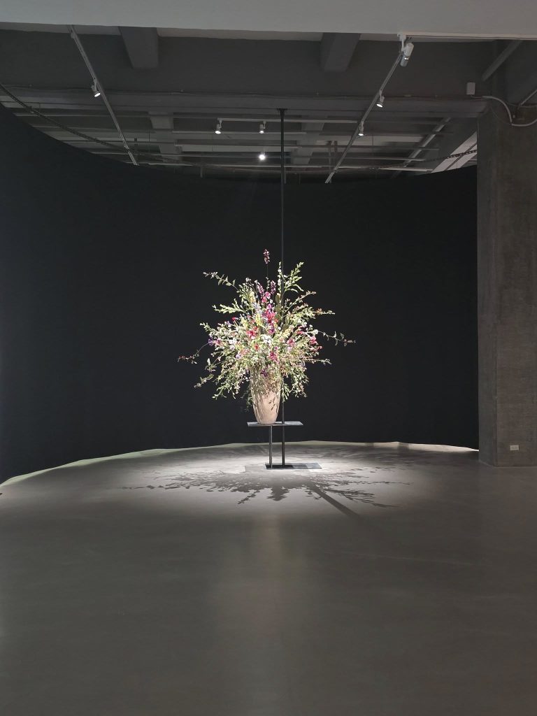 576191740 26067361749519531 4434142260812422045 n