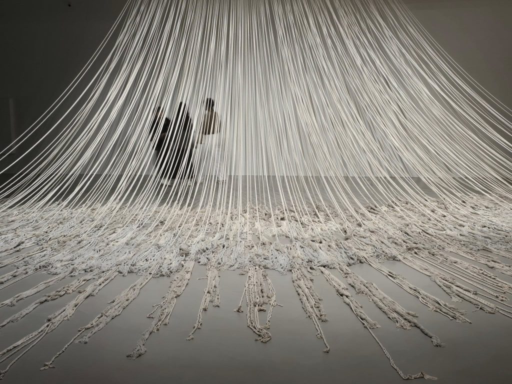 577322130 26067365972852442 1724797601274660375 n