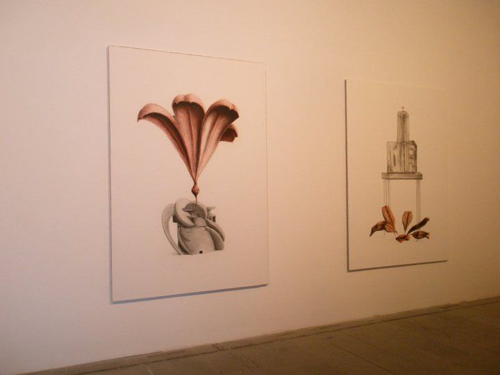 580793177 26164872536435118 305359241951852932 n