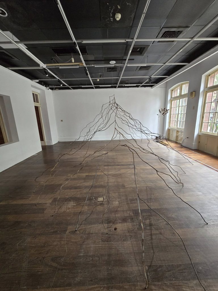 586050029 26235796862676018 4437672058627276734 n