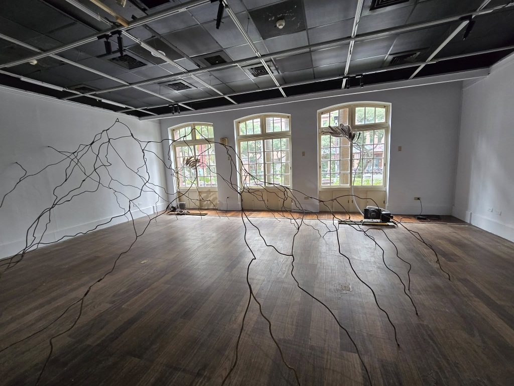 586196542 26235797186009319 5263767441058607504 n