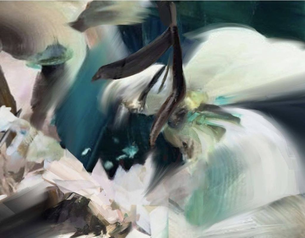 596410551 26414265954829107 3656829955526030491 n