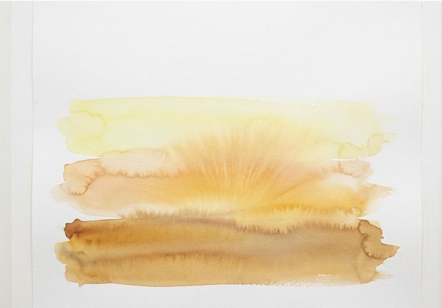 598517302 26450582461197456 7845489251411170579 n