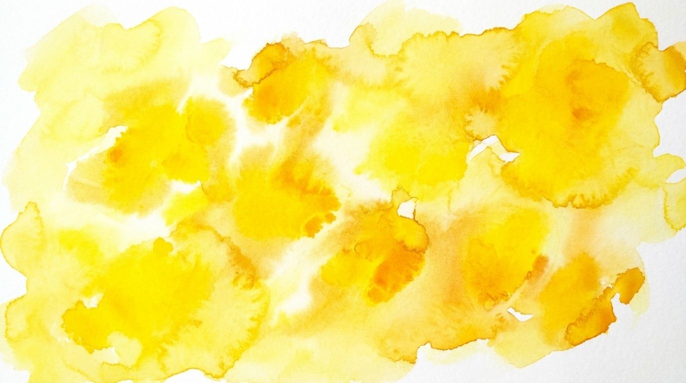 600292301 26448435991412103 674677464780051311 n