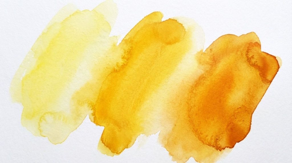 600339867 26450550697867299 2867431747769580623 n