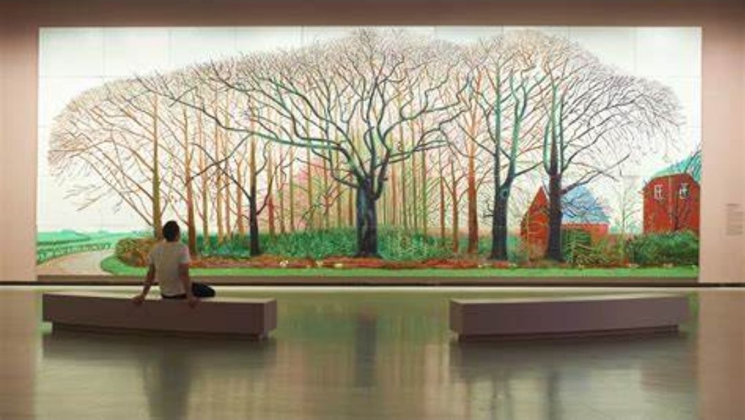 614178350 26656564857265881 7452372925312087912 n